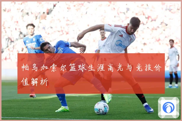 帕乌加索尔篮球生涯高光与竞技价值解析